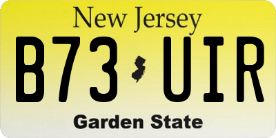 NJ license plate B73UIR