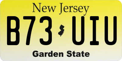 NJ license plate B73UIU
