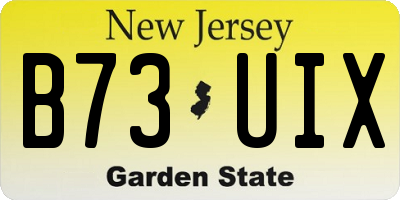 NJ license plate B73UIX