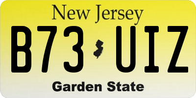 NJ license plate B73UIZ