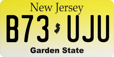 NJ license plate B73UJU