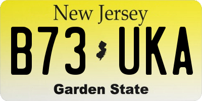 NJ license plate B73UKA