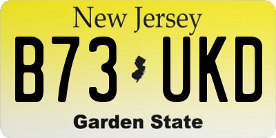 NJ license plate B73UKD