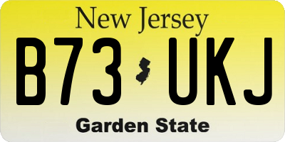 NJ license plate B73UKJ