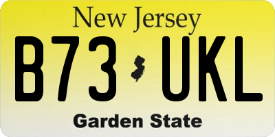 NJ license plate B73UKL