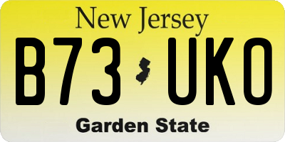 NJ license plate B73UKO