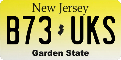 NJ license plate B73UKS
