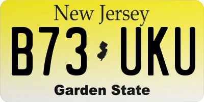 NJ license plate B73UKU