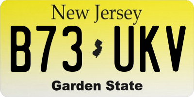 NJ license plate B73UKV
