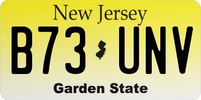 NJ license plate B73UNV