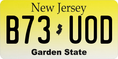 NJ license plate B73UOD