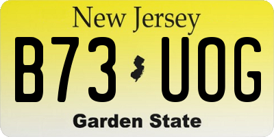 NJ license plate B73UOG
