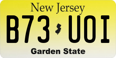NJ license plate B73UOI