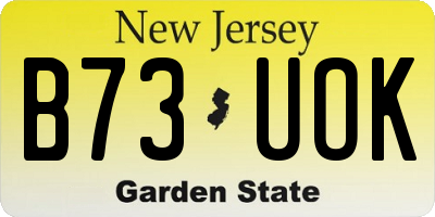 NJ license plate B73UOK