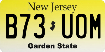 NJ license plate B73UOM
