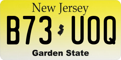 NJ license plate B73UOQ