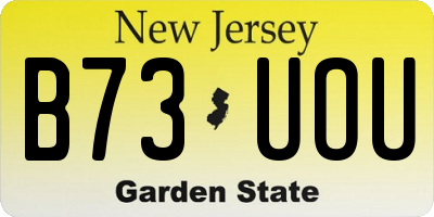 NJ license plate B73UOU