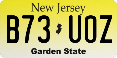 NJ license plate B73UOZ