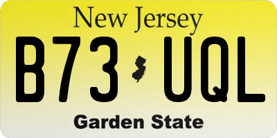 NJ license plate B73UQL