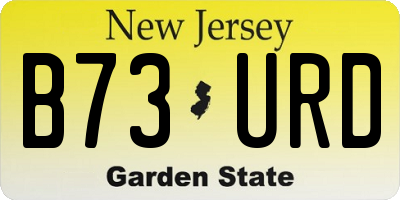 NJ license plate B73URD