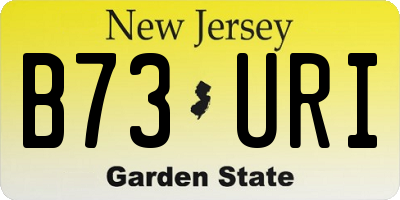 NJ license plate B73URI