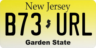 NJ license plate B73URL