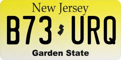 NJ license plate B73URQ