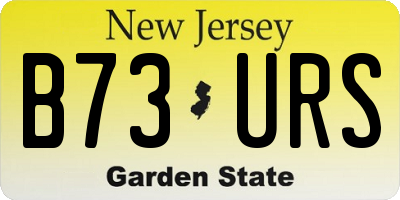 NJ license plate B73URS