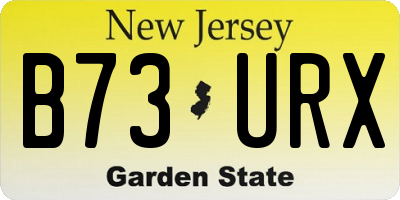 NJ license plate B73URX