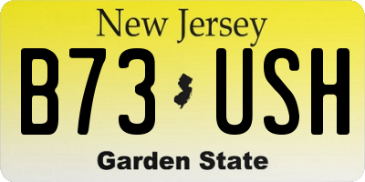 NJ license plate B73USH