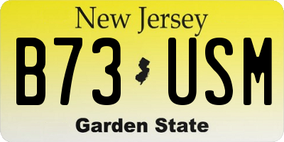 NJ license plate B73USM