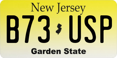 NJ license plate B73USP