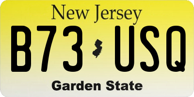 NJ license plate B73USQ