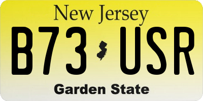 NJ license plate B73USR