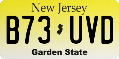 NJ license plate B73UVD
