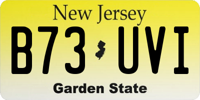 NJ license plate B73UVI