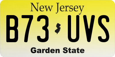 NJ license plate B73UVS