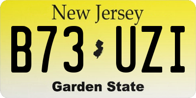 NJ license plate B73UZI