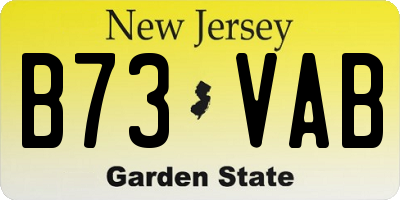NJ license plate B73VAB