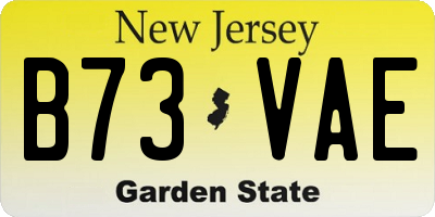 NJ license plate B73VAE
