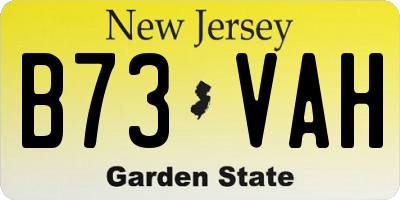 NJ license plate B73VAH