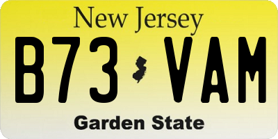 NJ license plate B73VAM