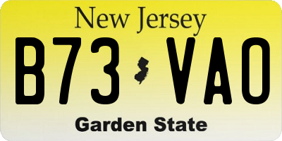 NJ license plate B73VAO