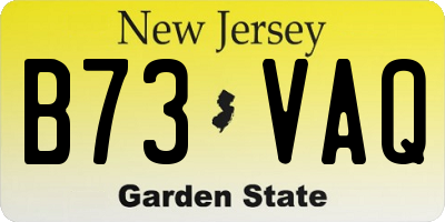 NJ license plate B73VAQ