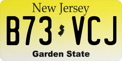NJ license plate B73VCJ
