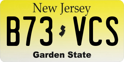 NJ license plate B73VCS