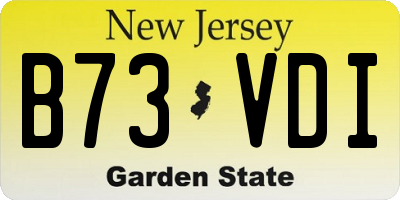 NJ license plate B73VDI