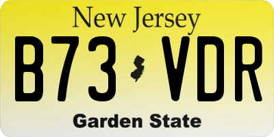 NJ license plate B73VDR
