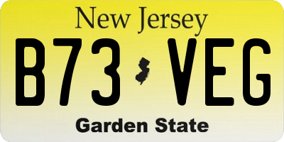 NJ license plate B73VEG