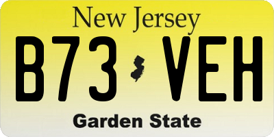 NJ license plate B73VEH